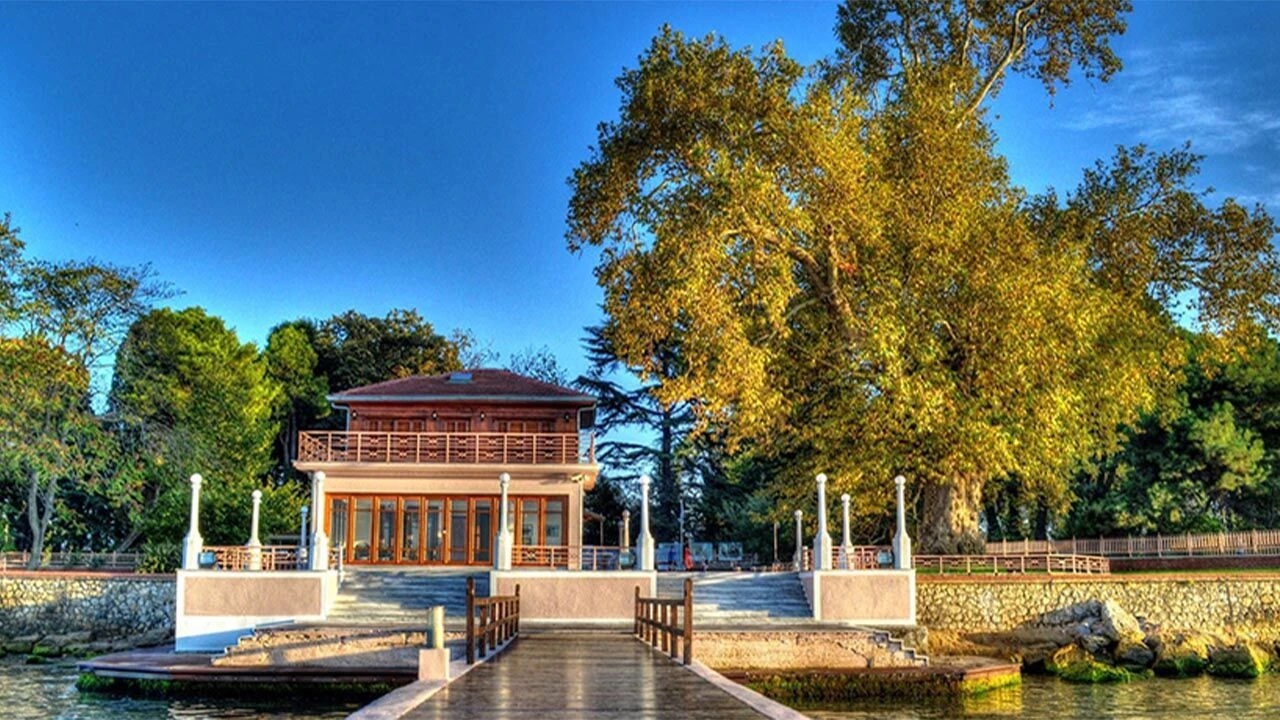 Bir ağacın hatırına yürütülen konut: Yürüyen Köşk